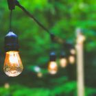 Another opportunity for the Seedo technology is to improve the agriculture of at-risk countries, where global warming and other concerns threaten consistent farming and food production.