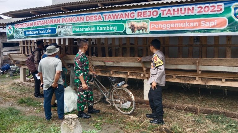 Judul Unik: Bukan Hanya Patroli, Bripka Rudi ‘Blusukan’ ke Kandang Sapi Tawang Rejo: Jamin Stok Protein Aman dan Sukseskan Ketahanan Pangan